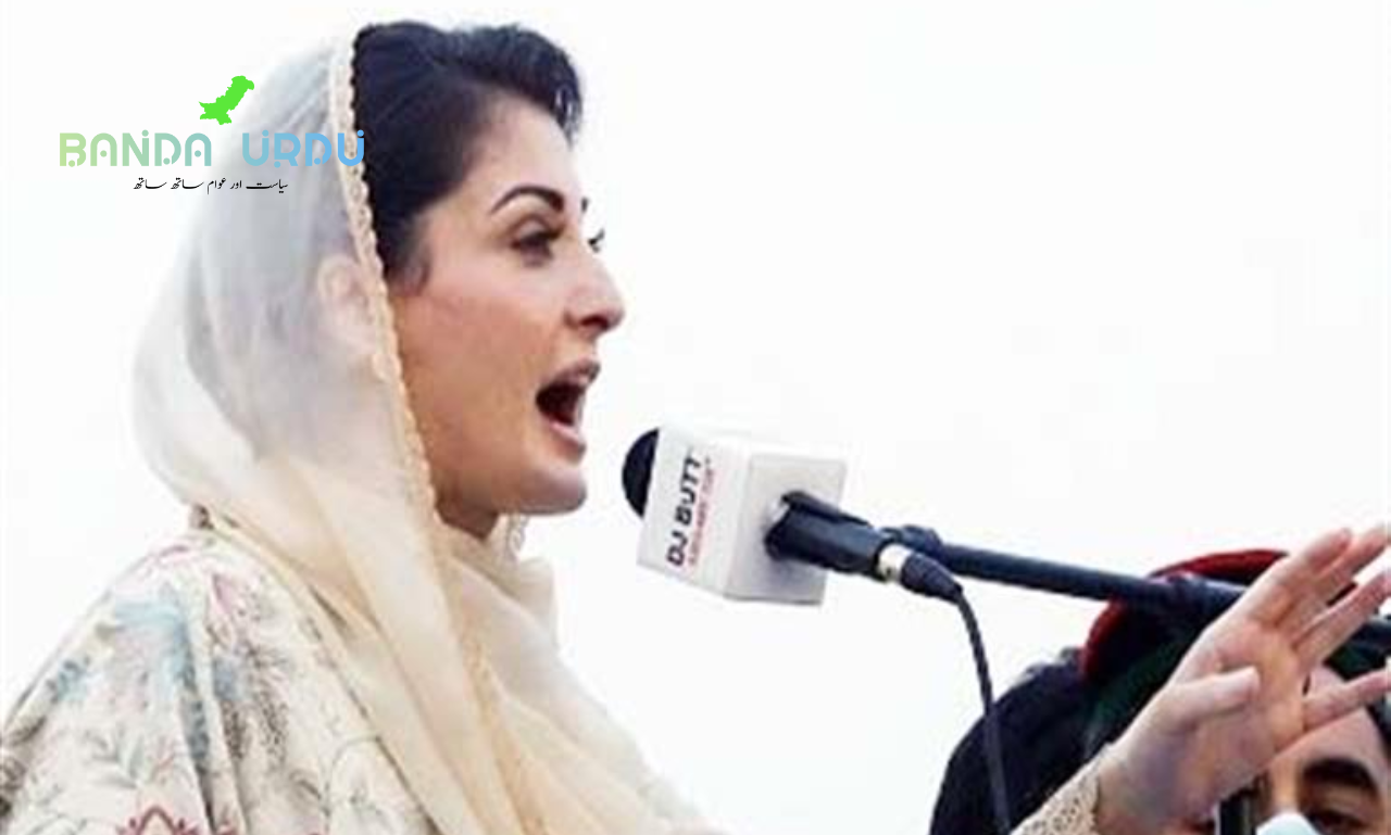After a PTI gathering was postponed, Maryam compares the words "leader" and "jackal"